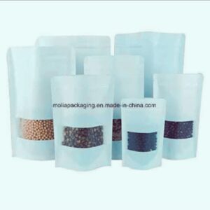 Craft Paper Pouches